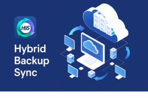 Hybrid Backup Sync